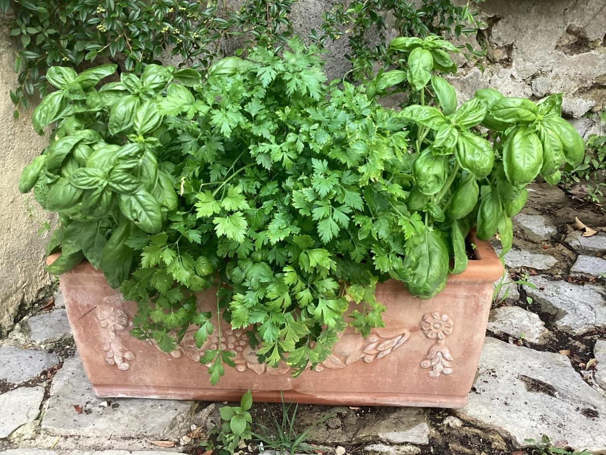 Al Borgo Torello Bed and Breakfast Ravello Exterior foto